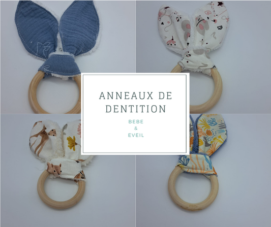 anneau de dentition